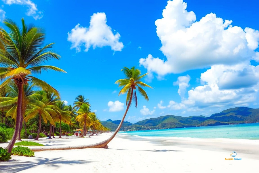 White sandy tropical beach with palm trees – Auasia Travel